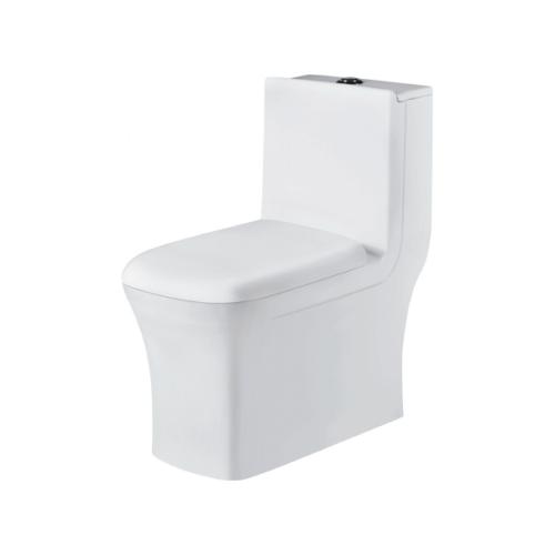 One Piece Closet(Wash Down) Dual Flush Fittings And Soft Closing Seat Cover