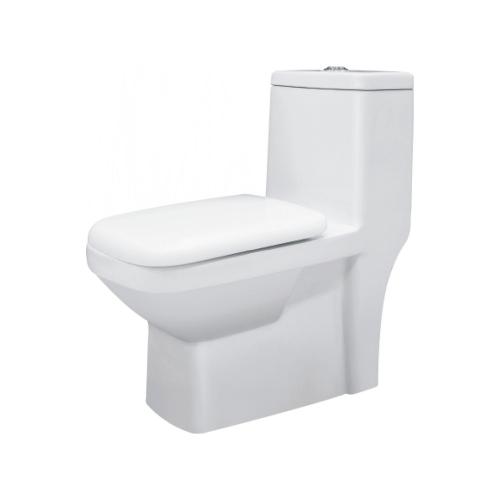 One Piece Closet (Wash Down) Dual Flush Fittings & Soft Closing Seat Cover