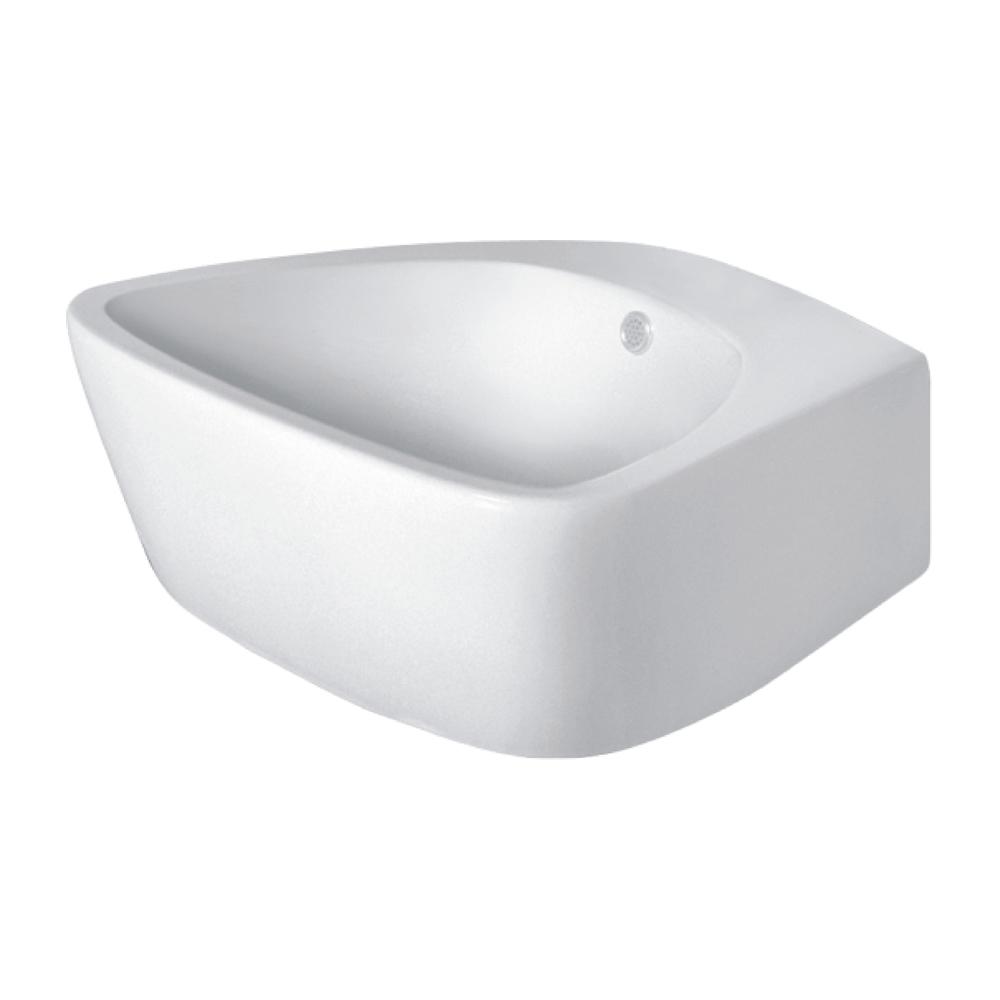 Counter Top/Wall Hung Basin