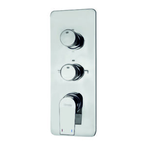Single Lever Concealed Mixer & Diverter