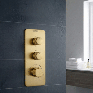Thermostatic Mixer & Diverter