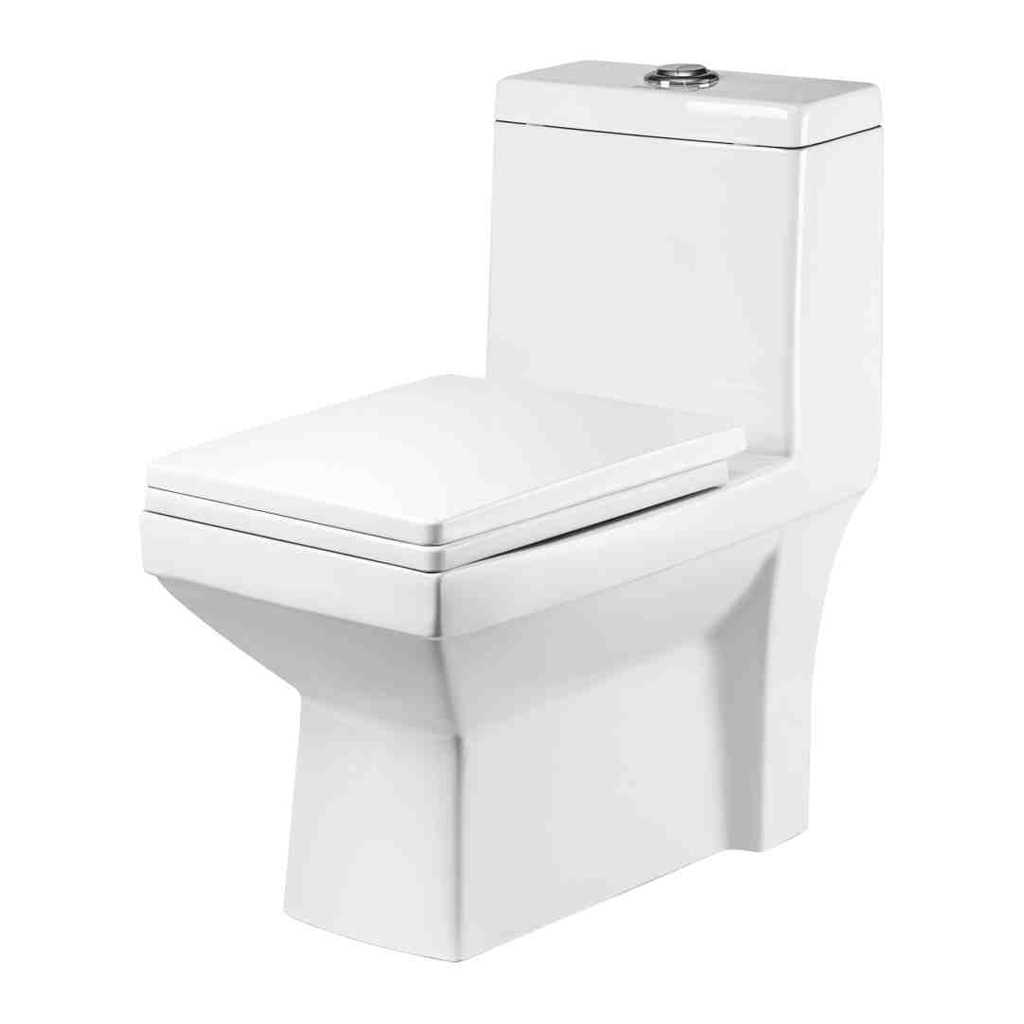 Grafdoer GS-1101 One Piece European Water Closet installed in modern bathroom setting
