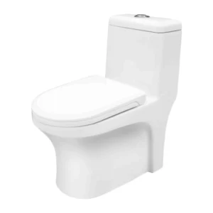 Grafdoer GS-1124 One Piece Water Closet in a modern Indian bathroom setting with clean, elegant design.