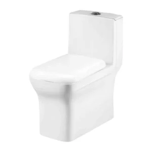 Grafdoer GS-1126 One Piece Water Closet Toilet in a modern bathroom setting