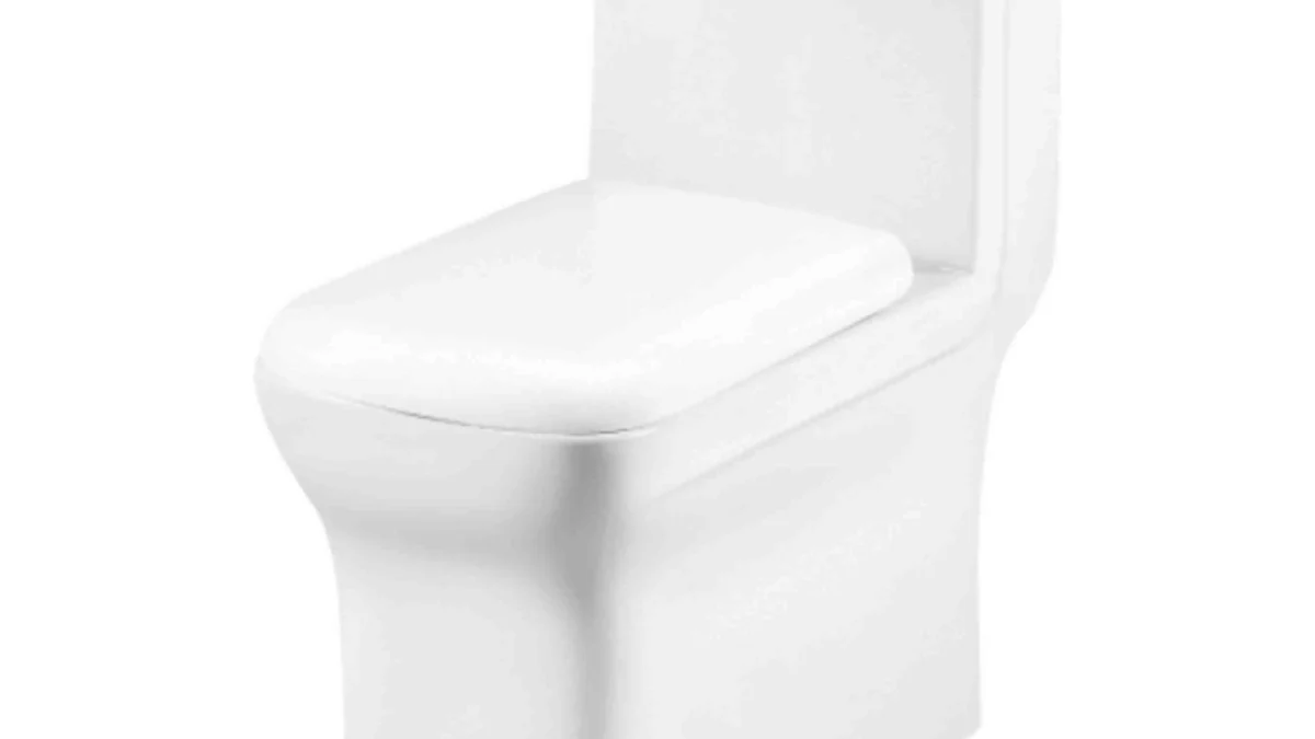 Buy Indian Water Closet – GS-1126 Jet One Piece WC Price