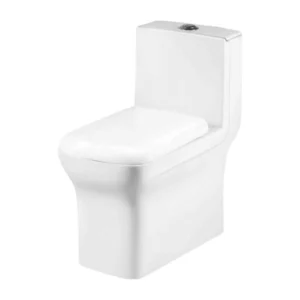 Grafdoer GS-1126 One Piece Jet Water Closet – Modern Indian Water Closet