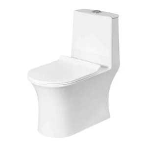 Grafdoer GS-1130 Rimless One Piece Indian Water Closet in modern bathroom setting