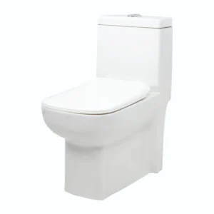 Grafdoer GS-1131 One Piece Water Closet in modern bathroom setting