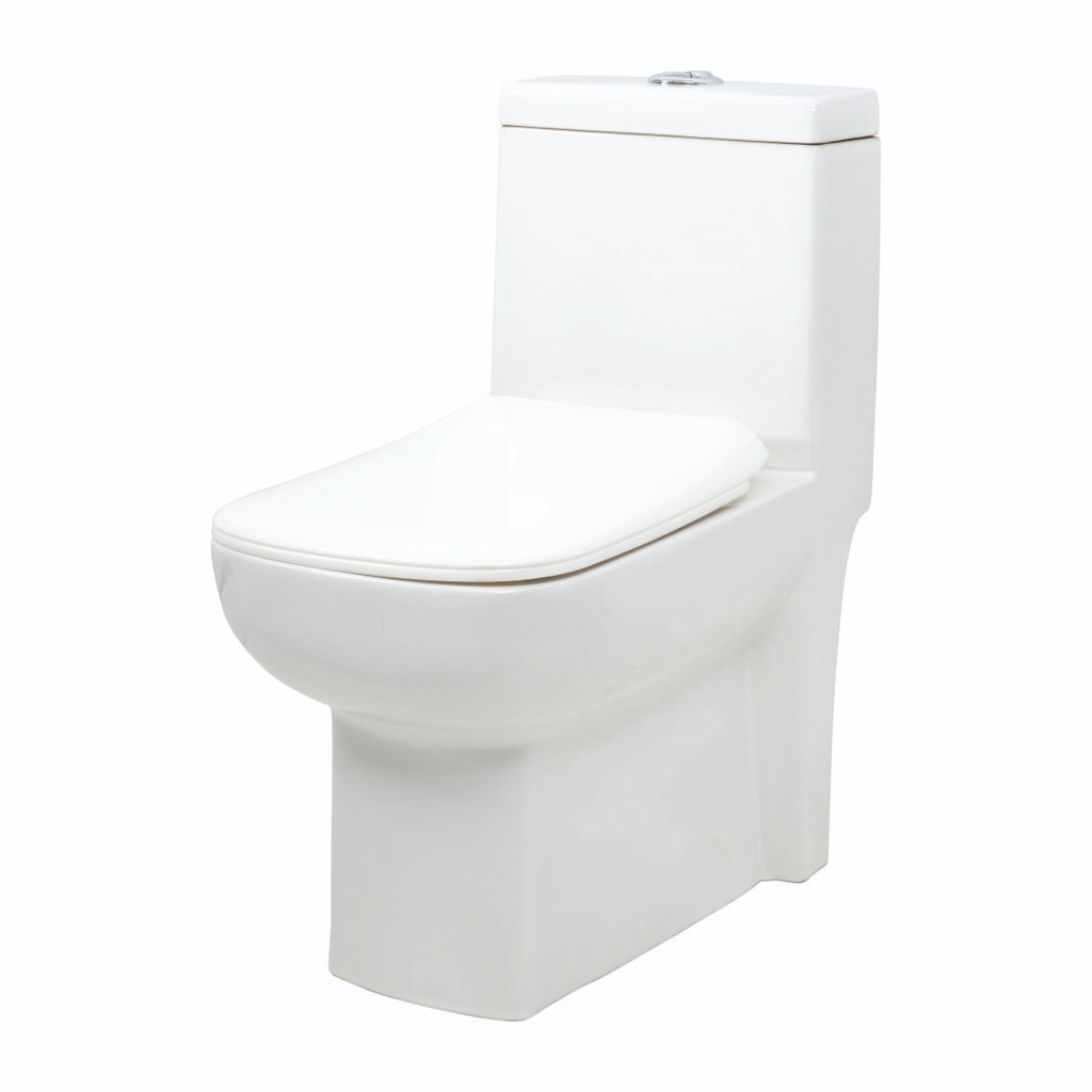 Grafdoer GS-1131 One Piece Water Closet in modern bathroom setting