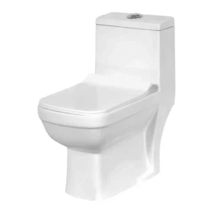 Grafdoer GS-1145 One Piece Water Closet installed in modern bathroom