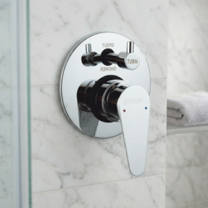 Single Lever Concealed Mixer & Diverter exposed