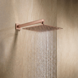 Rain Shower 12”x12” (200mm) with Rubbit Cleaning System Brass