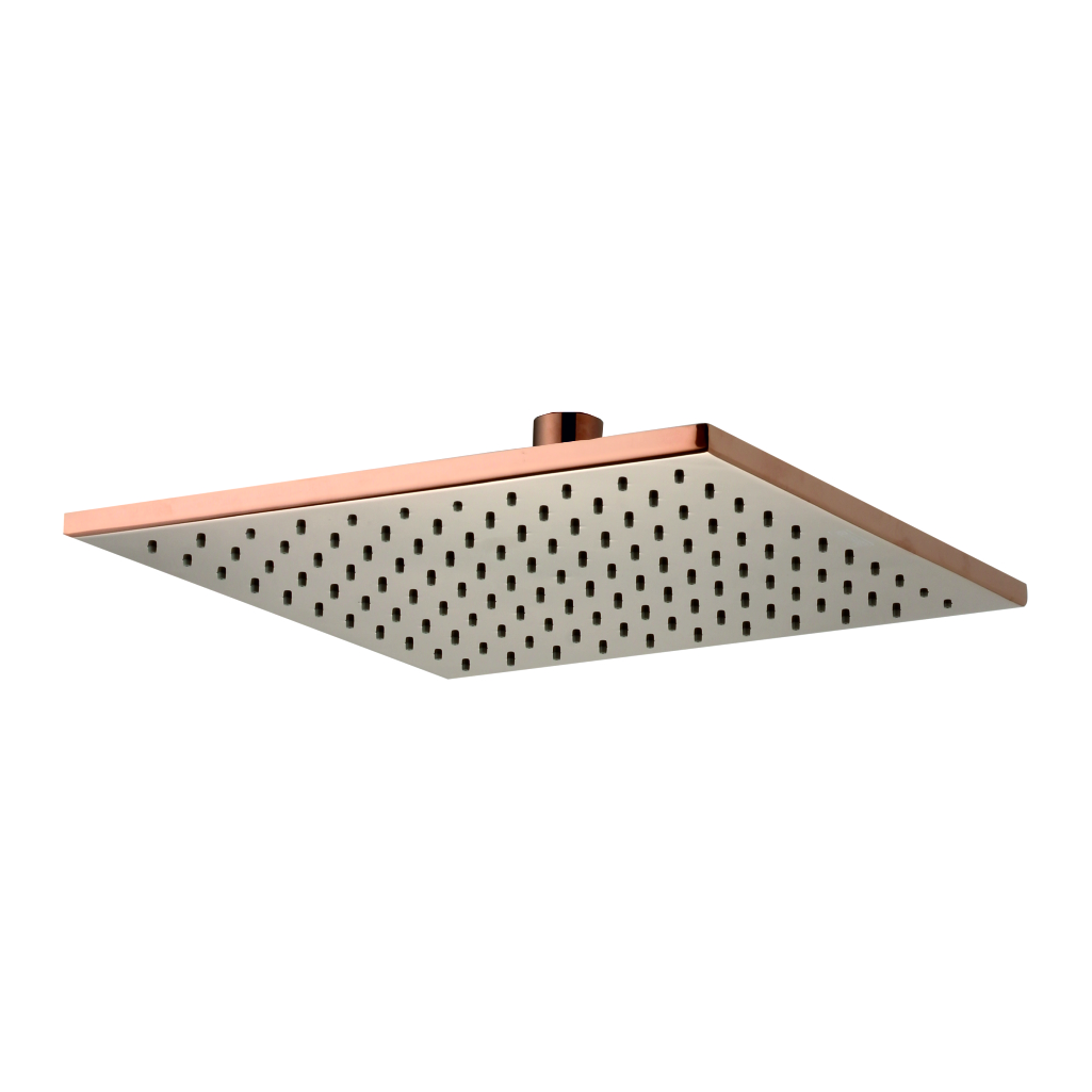 Square 12x12 rain shower head in modern bathroom