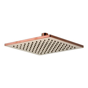 Rain Shower 8”x8” (200mm) with Rubbit Cleaning System Brass