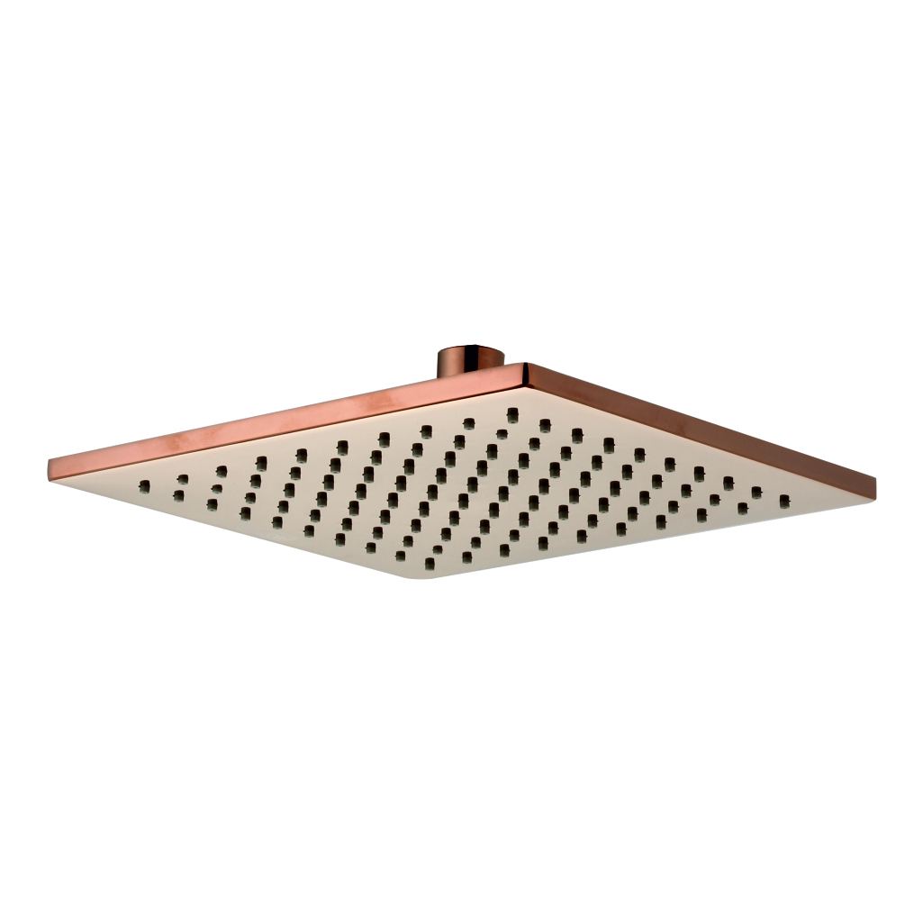 Rain Shower 8”x8” (200mm) with Rubbit Cleaning System Brass
