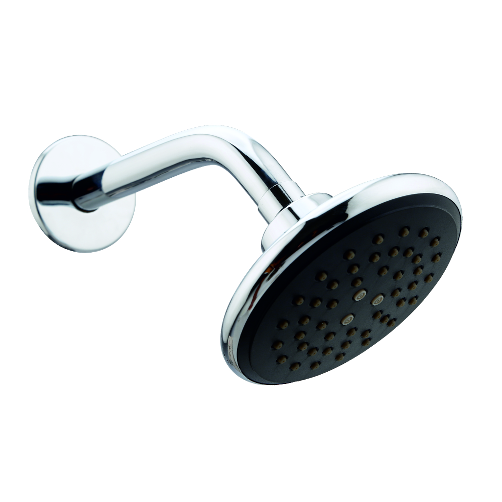 Single flow 5-inch overhead shower with brass pipe arm and wall flange