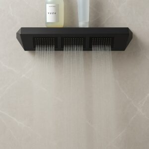 AquaTherapy Shoulder Shower