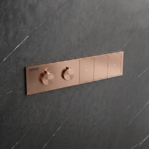 Clyra Thermo 3 RG - Switch  button diverter