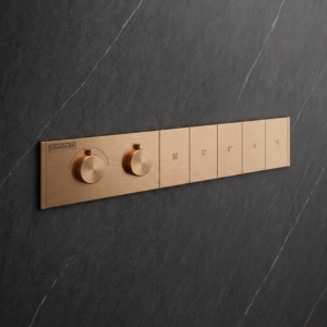 Clyra Thermo 5 RG - Switch  button diverter