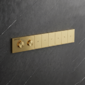Clyra Thermo 6 G - Switch  button diverter