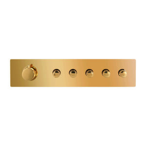 Clyra Thermo 5 G push button 5 way thermostatic premium body shower diverter