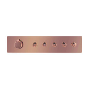 Clyra Thermo 5 RG switch button 5 way multi function rainfall and mist waterfall flow control diverter